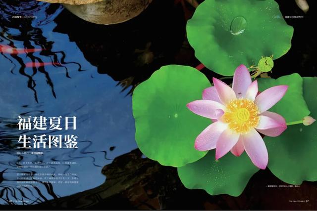 《闽声》新刊上市丨 福建夏日生活图鉴-2.jpg