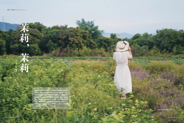 《闽声》新刊上市丨 福建夏日生活图鉴-24.jpg