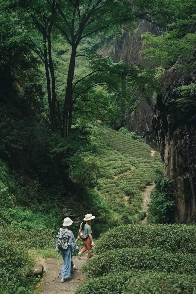 看多了福建的海，不如避开人潮去山里过过隐居生活。-20.jpg