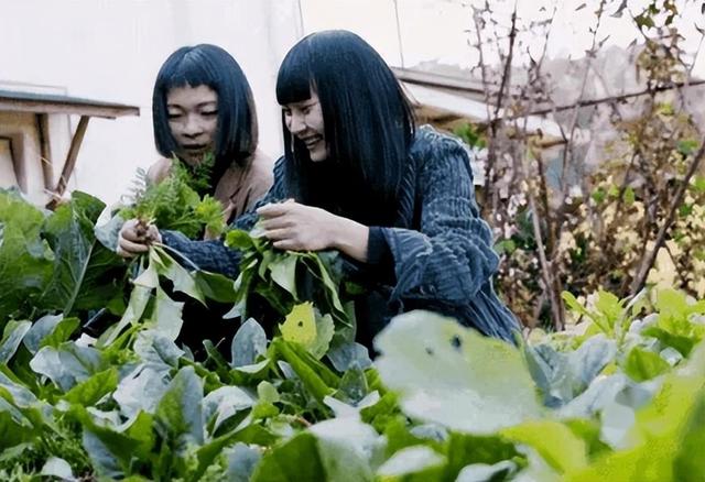 8 个年轻人在福建深山隐居，不愁钱还想生育儿女。-5.jpg