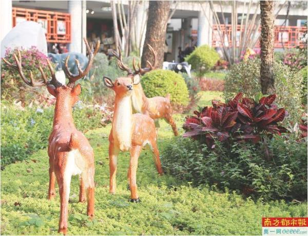 以学生为中心，打造教育创新“动力源”