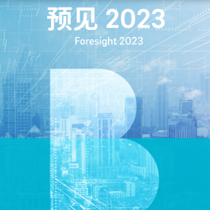 罗兰贝格中国行业趋势报告 2023年度特别报告（2）