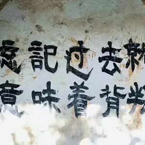 李革新：应该搞一点新旧社会对比的阶级教育