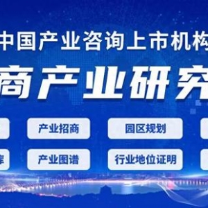 2024年中国卫星互联网行业市场前景预测研究报告（简版）