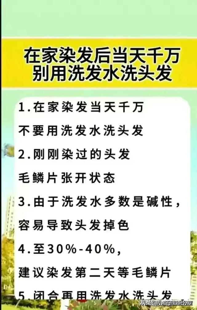 字节跳动，已经是中国真正的互联网一哥了！