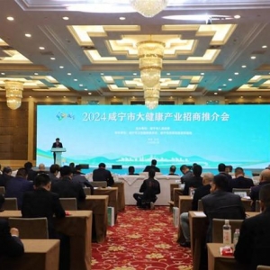 助力大健康产业发展，湖北文旅集团携手咸宁深化战略合作