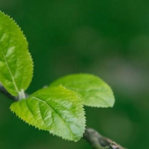 教育就是陪伴、点燃、生长 | 新时代教育书摘