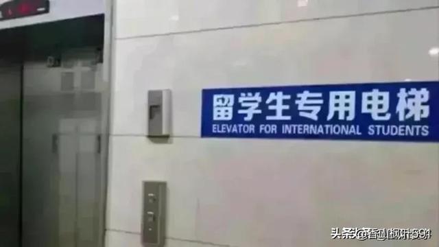 中国的教育要走向世界，不应靠媚外，而应靠实力！