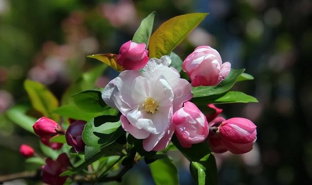 教育孩子最成功的方式，就是以下三种