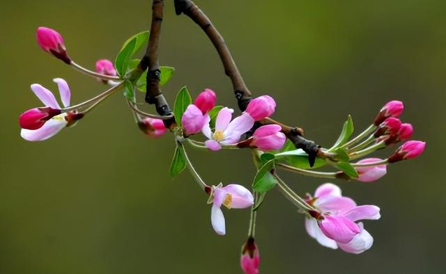 教育孩子最成功的方式，就是以下三种