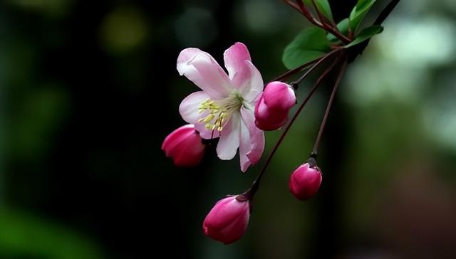 教育孩子最成功的方式，就是以下三种