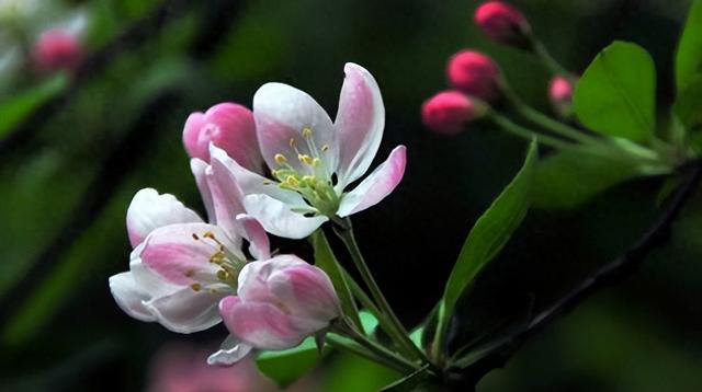 教育孩子最成功的方式，就是以下三种