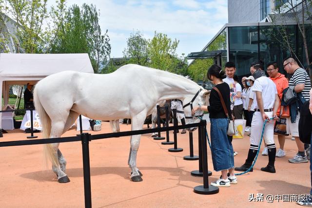 试营业前2小时客流已超5万人次！北京昌平再添新地标，好逛又出片