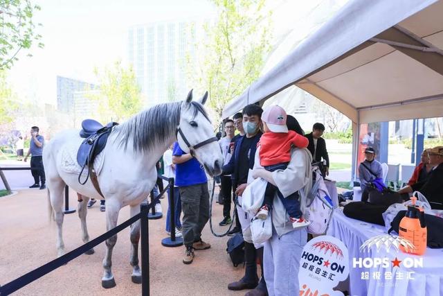两大“王炸”项目亮相：西安荟聚、北京超级合生汇