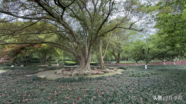 李镇西：为什么我们的教育要逼孩子“早熟”？