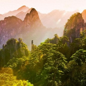 【理响中国】习近平总书记关于教育的重要论述的逻辑体系