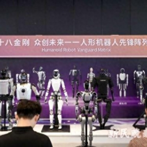2024世界人工智能大会｜具身智能+人形机器人，通用人工智能未来已来