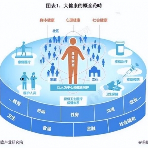 2024年中国大健康行业全景图谱