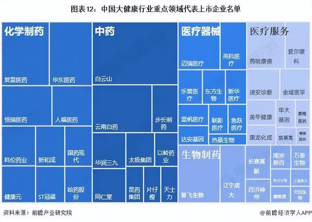 2024年中国大健康行业全景图谱