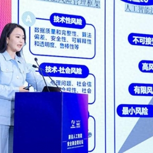 “人工智能不可能被一家公司、一个国家或一个机构垄断”