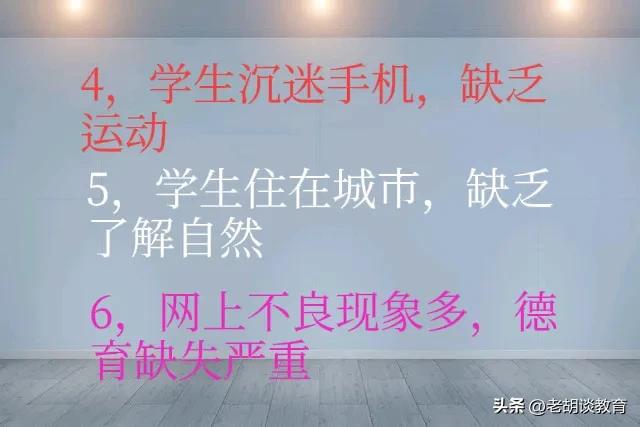 现在的教育还是教育吗？作为普通家长该怎么办？