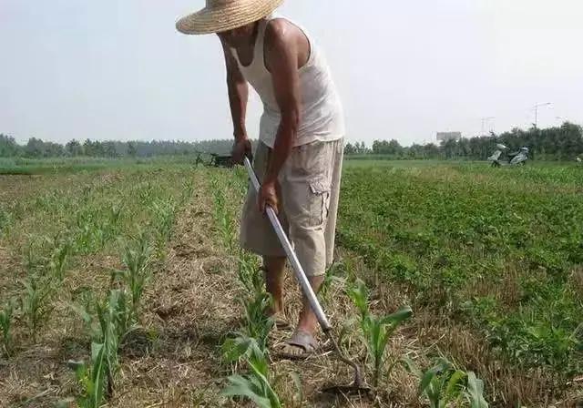 人工智能将会颠覆6亿人的饭碗，你给自己留后路了吗？