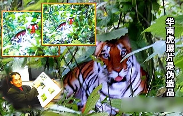 中国互联网大事记忆(2007年)