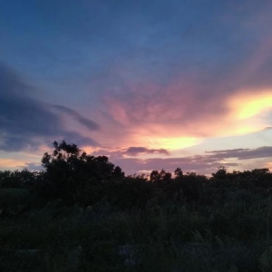 当今教育的最大问题，就是我们根本不知道该怎么教育孩子