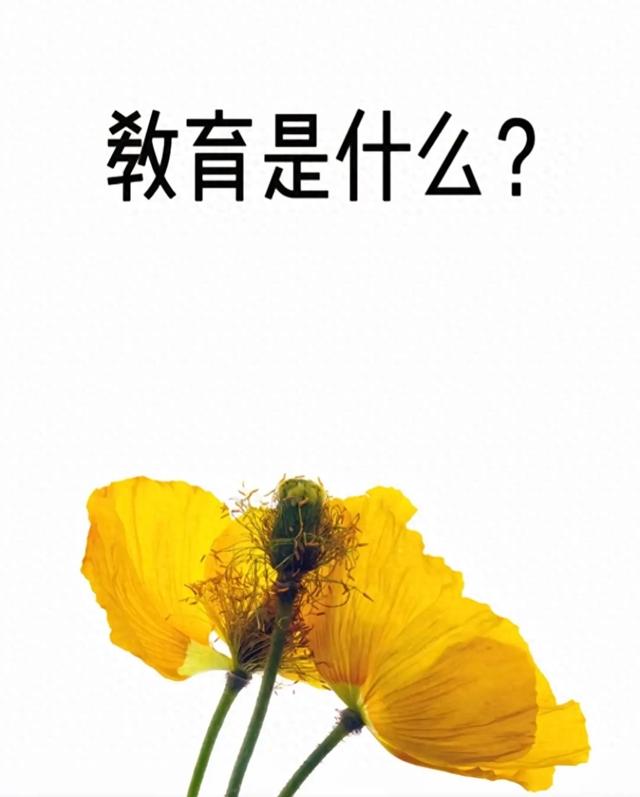 教育是什么