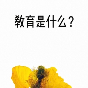 教育是什么