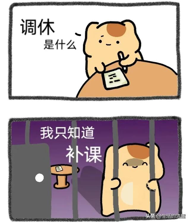 中国的教育就是补课，苦了家长、累了孩子，最后谁受益了？