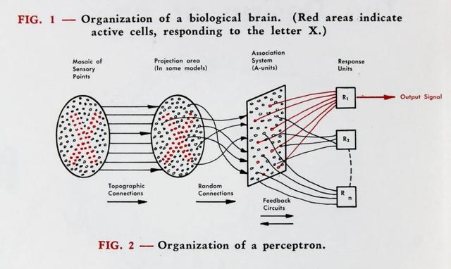 入门必读！写给初学者的人工智能简史！