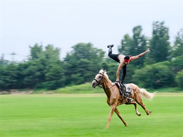 成立40周年，华彬集团如何在大健康产业向新而行