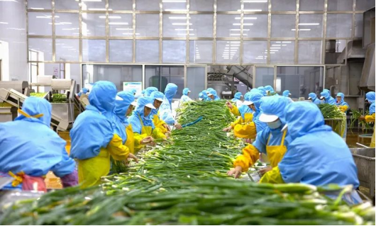 聚焦泰州丨突破3000亿元！打造大健康产业高质量发展“泰州样板”