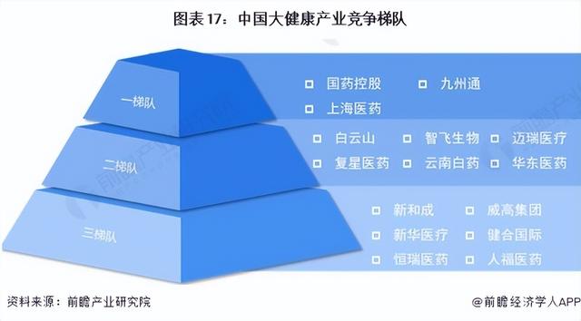 2024年中国战略性新兴产业之——大健康产业全景图谱