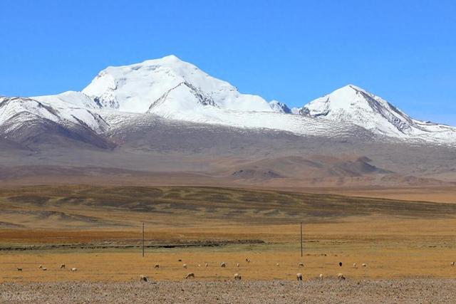扩大你的人脉圈的最佳的途径就是互联网。